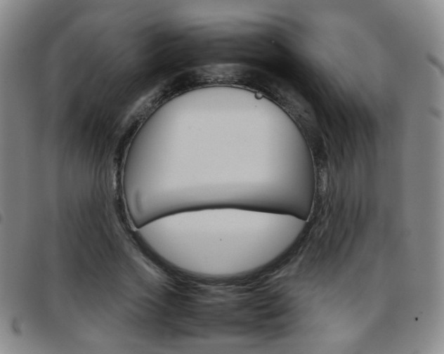 X0000097920733200803141030