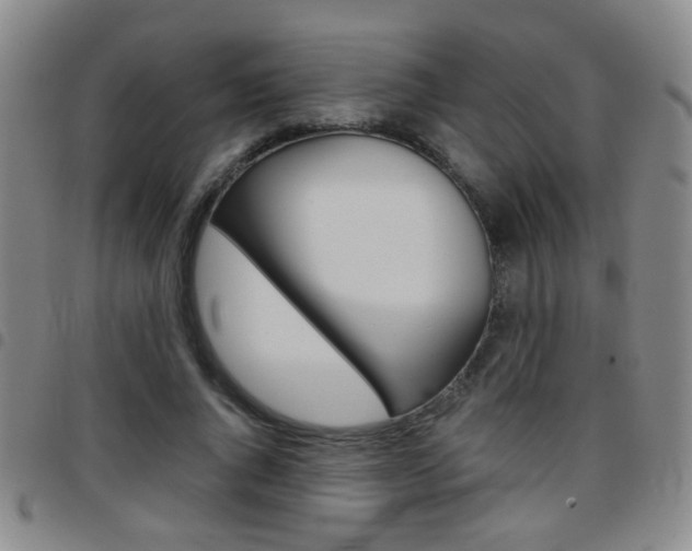 X0000097920736200803141030
