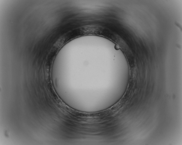 X0000097920737200803141030