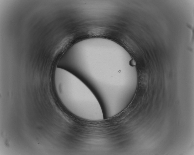 X0000097920738200803141030