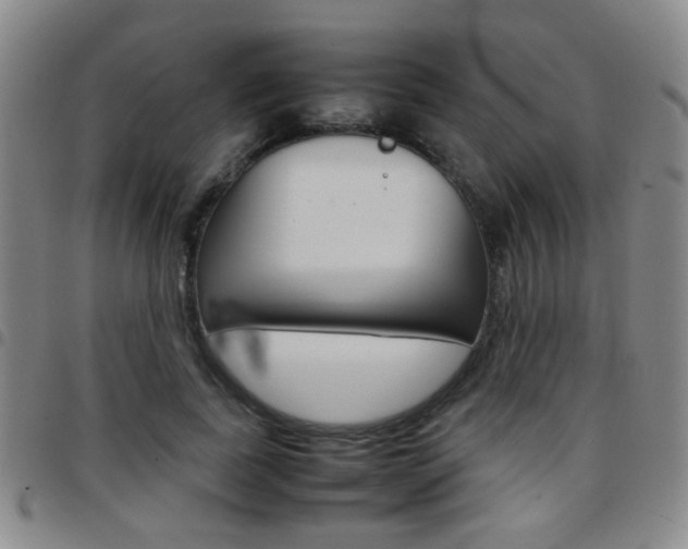 X0000097920739200803141030