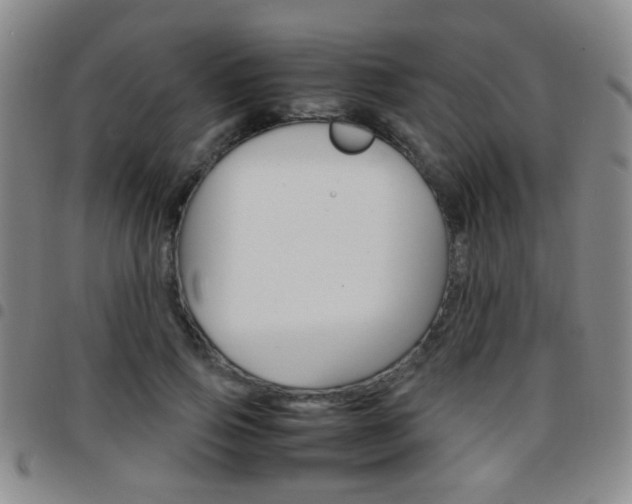 X0000097920741200803141030