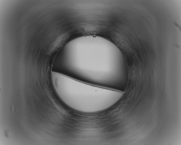 X0000097920742200803141030