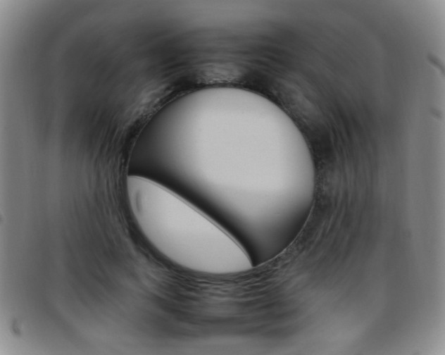 X0000097920743200803141030
