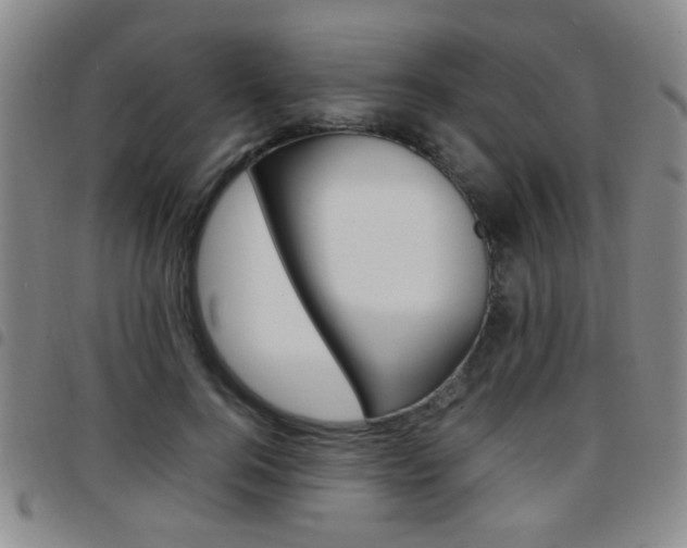 X0000097920744200803141030