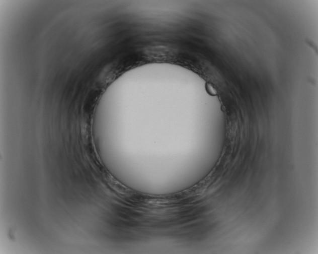 X0000097920749200803141030