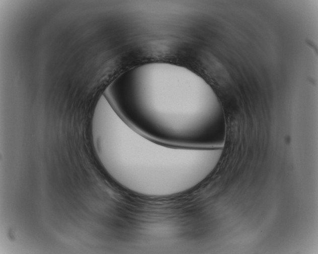 X0000097920750200803141030