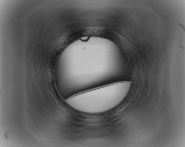 X0000097920751200803141030