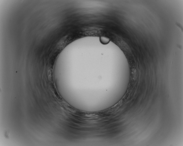 X0000097920753200803141030