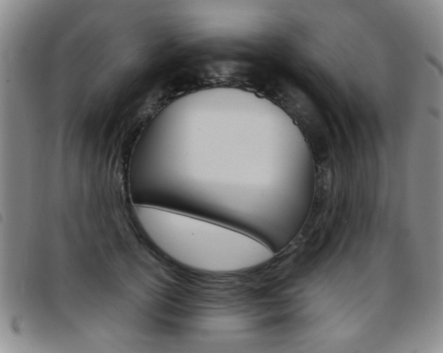 X0000097920754200803141030