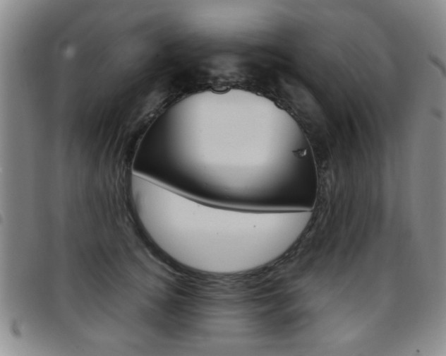 X0000097920756200803141030