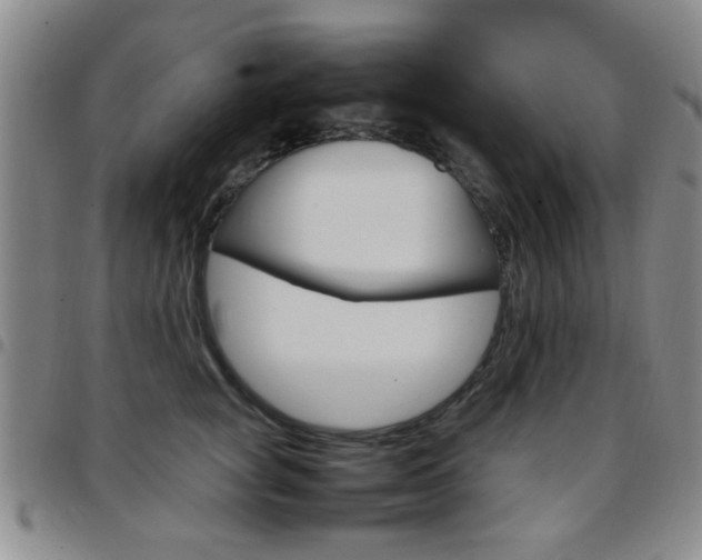 X0000097920757200803141030