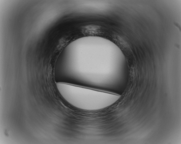 X0000097920760200803141031
