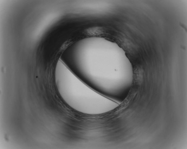 X0000097920762200803141031
