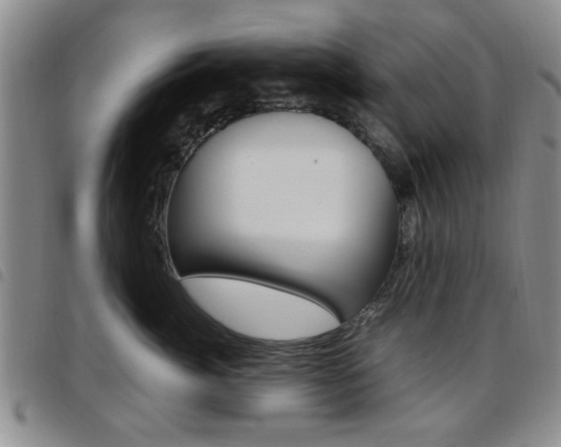 X0000097920764200803141031