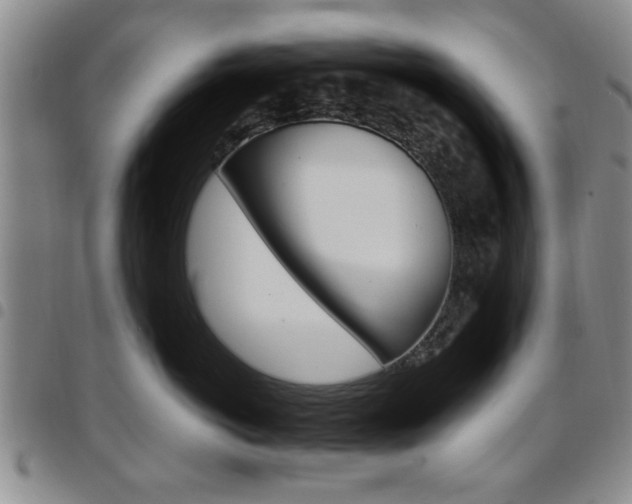 X0000097920766200803141031