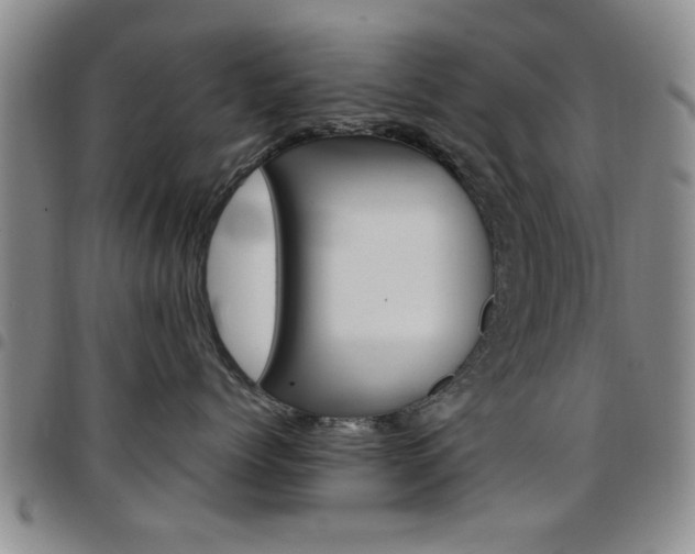 X0000097920768200803141031