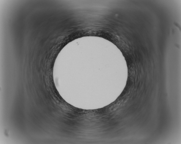X0000097920769200803141030