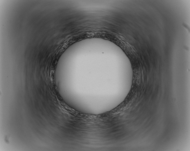 X0000097920770200803141030