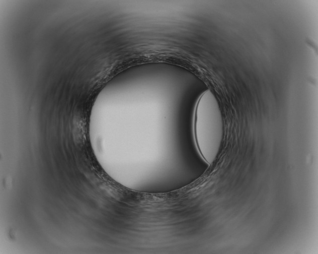X0000097920772200803141030