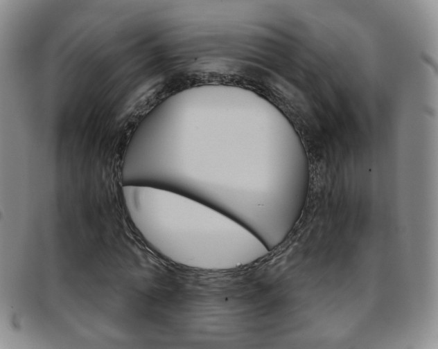X0000097920774200803141030