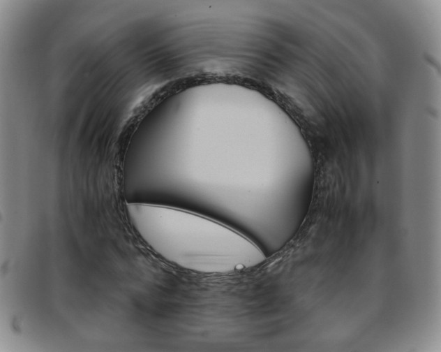 X0000097920776200803141030