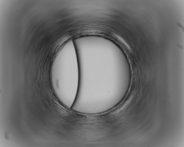 X0000097920777200803141030