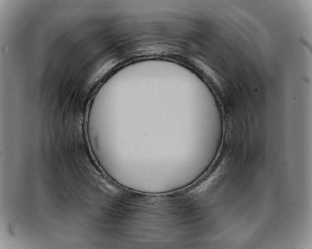 X0000097920778200803141030