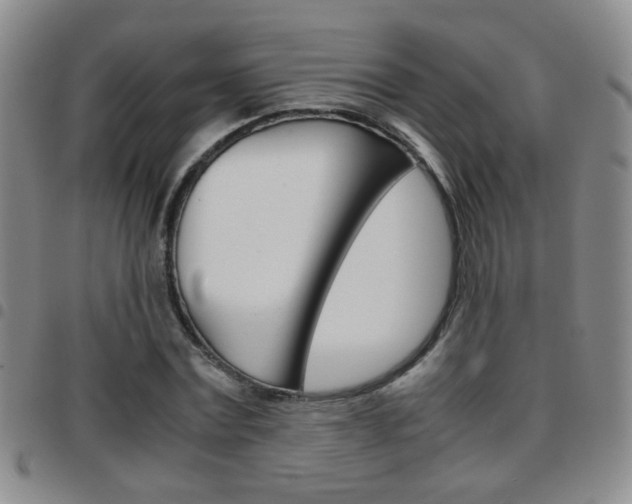 X0000097920779200803141030