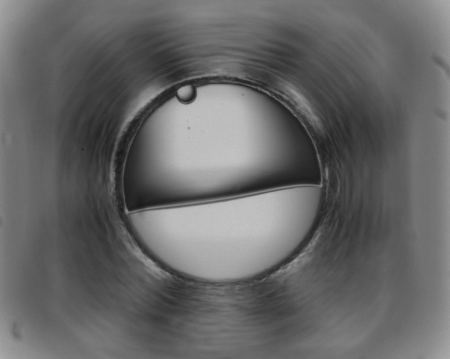 X0000097920780200803141030