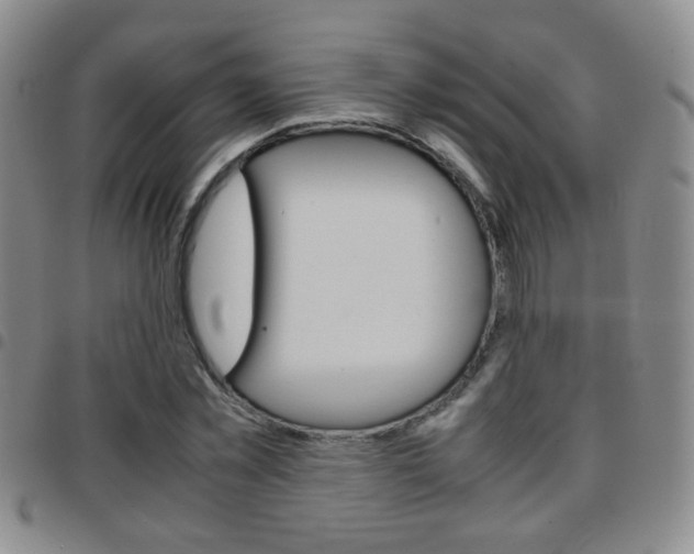 X0000097920781200803141030