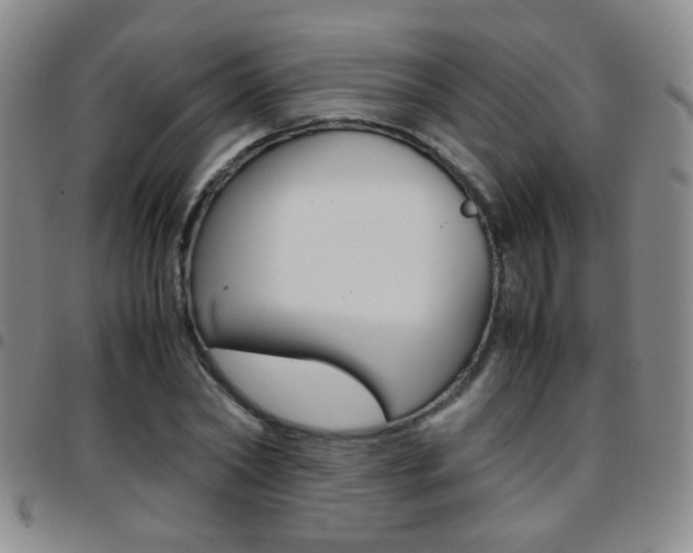 X0000097920782200803141030