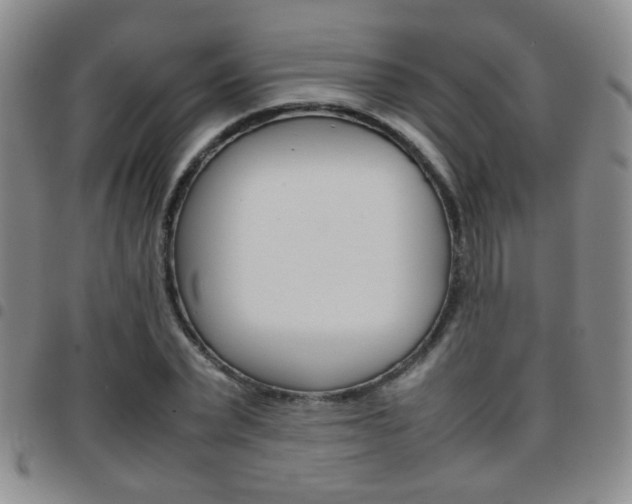 X0000097920783200803141030