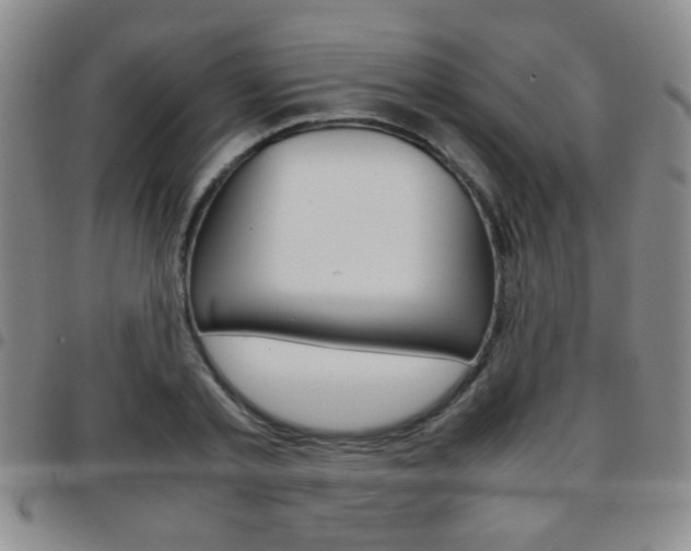 X0000097920789200803141029