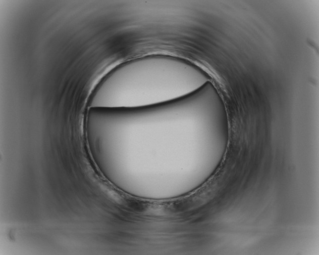 X0000097920790200803141029