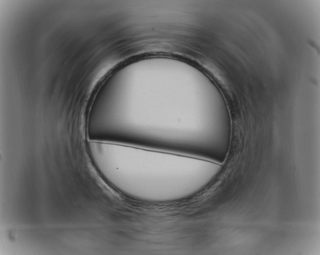 X0000097920791200803141029