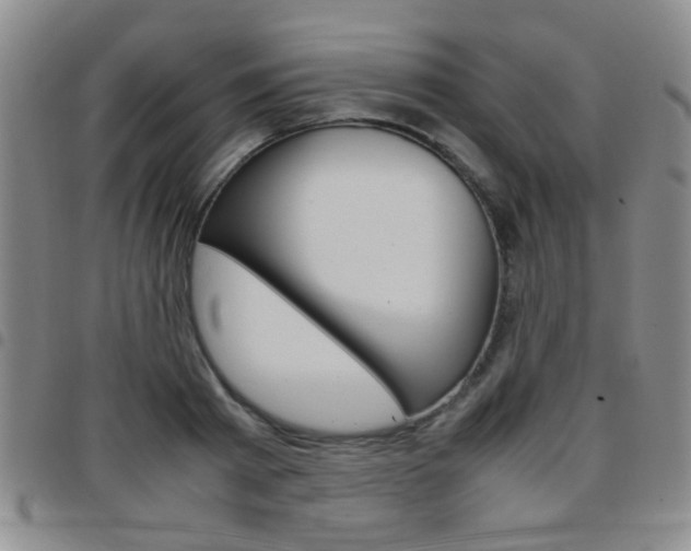 X0000097920793200803141029