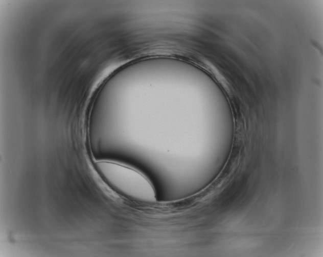 X0000097920795200803141029