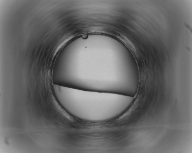 X0000097920798200803141029