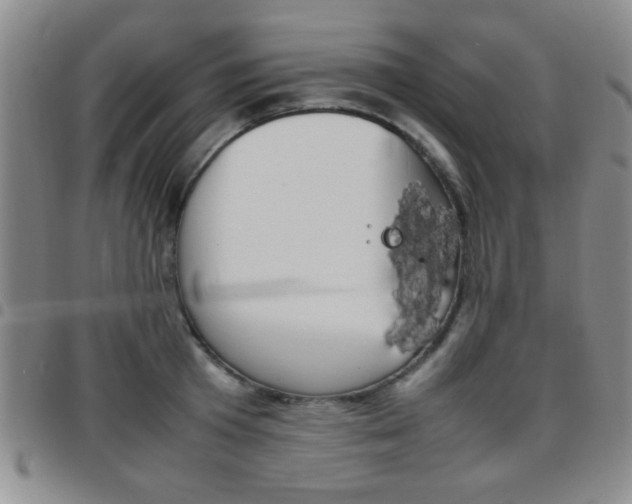 X0000097920801200803141029