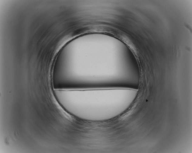 X0000097920803200803141029