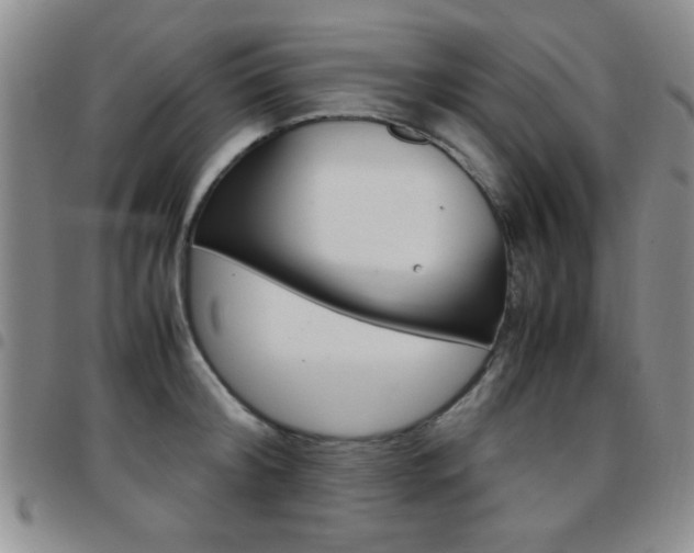 X0000097920804200803141029