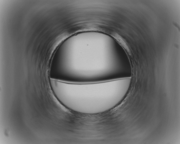 X0000097920805200803141029