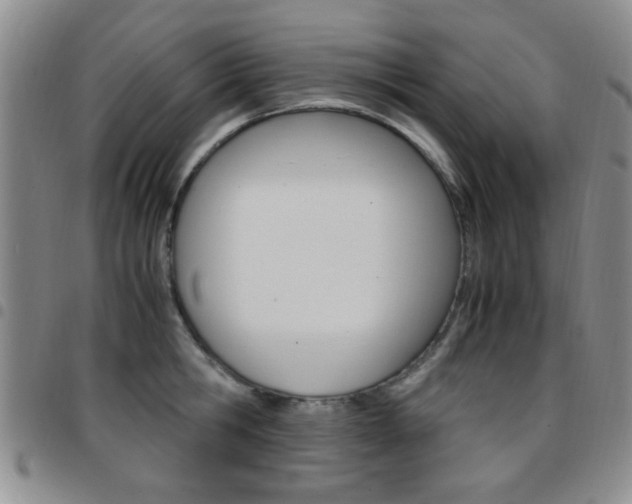 X0000097920806200803141029