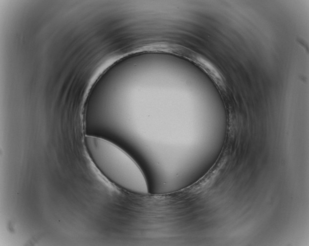 X0000097920808200803141029