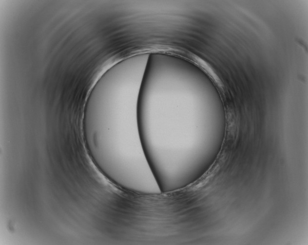 X0000097920810200803141029