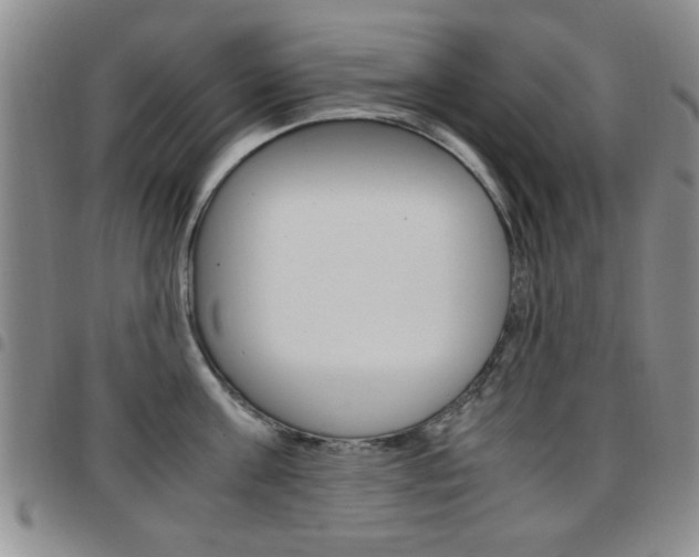 X0000097920811200803141029