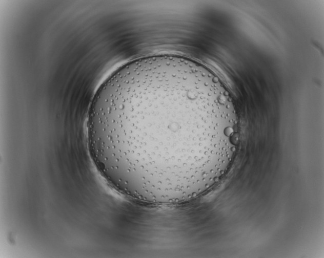 X0000097920814200803141029