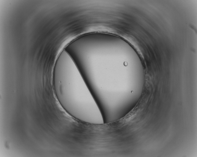 X0000097920815200803141029
