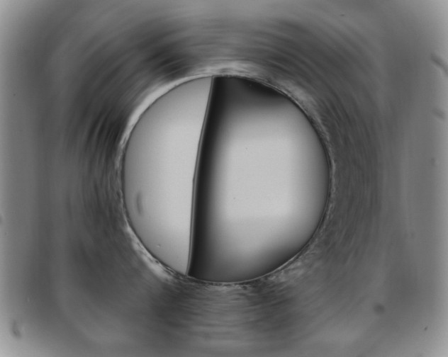 X0000097920816200803141029